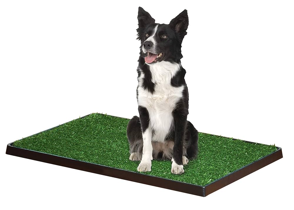 Amazon.com: Four Paws Wee-Wee Premium Patch Indoor and